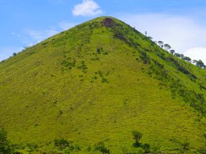 Sendero ecológico rodeado de vegetación nativa, perfecto para caminatas tranquilas y observación de flora y fauna.