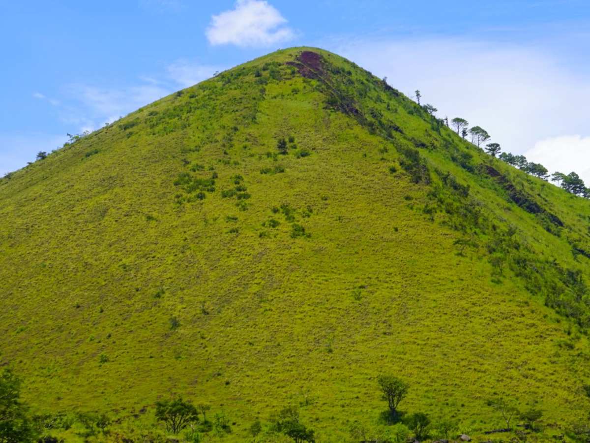 Sendero ecológico rodeado de vegetación nativa, perfecto para caminatas tranquilas y observación de flora y fauna.