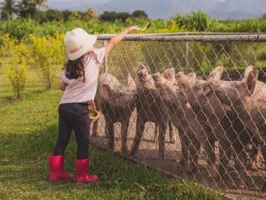 Naturaleza, aprendizaje y tiempo en familia se combinan en espacios que invitan a los niños a descubrir, explorar y conectar con el entorno desde temprana edad.