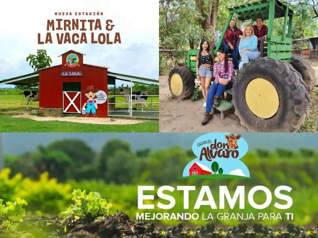 Las experiencias al aire libre fortalecen la curiosidad infantil y crean recuerdos duraderos, mientras las familias comparten momentos lejos de la rutina diaria.
