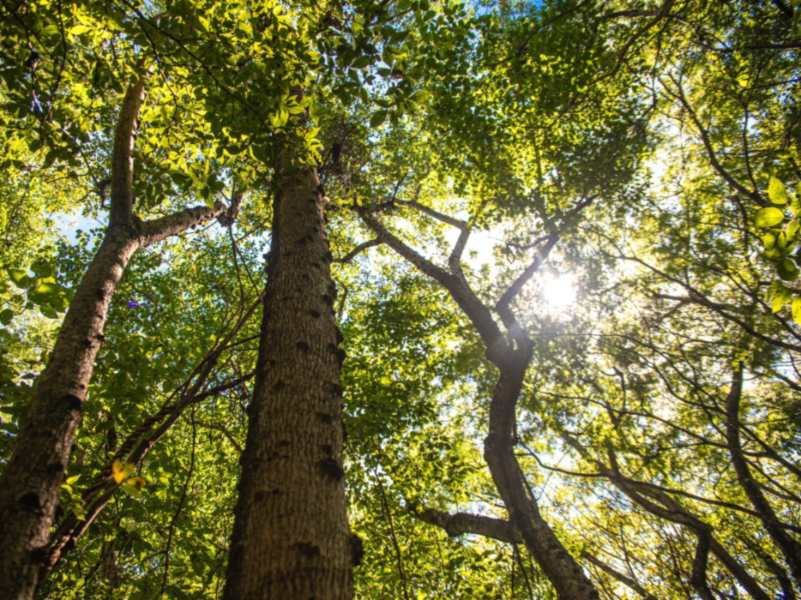 Parque Nacional San Diego y San Felipe Las Barra