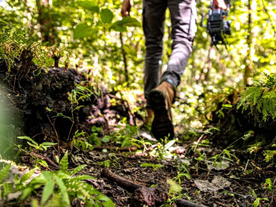 Parque Nacional San Diego y San Felipe Las Barra