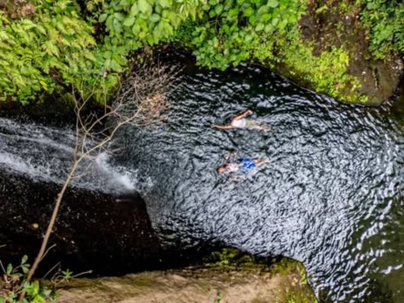 El sendero de acceso atraviesa una zona de vegetación abundante y sombra natural.