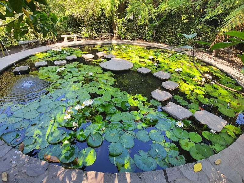Cada rincón del Jardín Botánico refleja décadas de esfuerzo por conservar la biodiversidad en un entorno urbano.