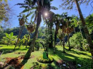 turismo-rutas-y-aventuras-jardin-botanico-02