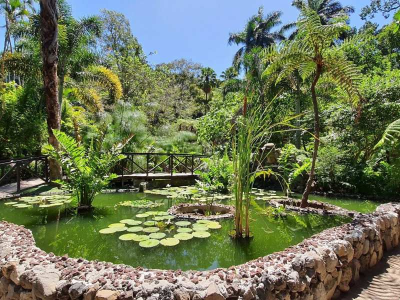 Con más de 3,500 especies, el jardín ofrece un recorrido educativo entre zonas temáticas de plantas de todo el mundo.