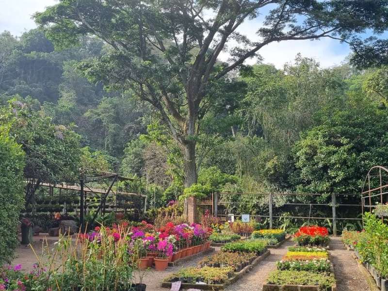Senderos rodeados de vegetación nativa y exótica invitan a explorar este pulmón verde cercano a la capital.