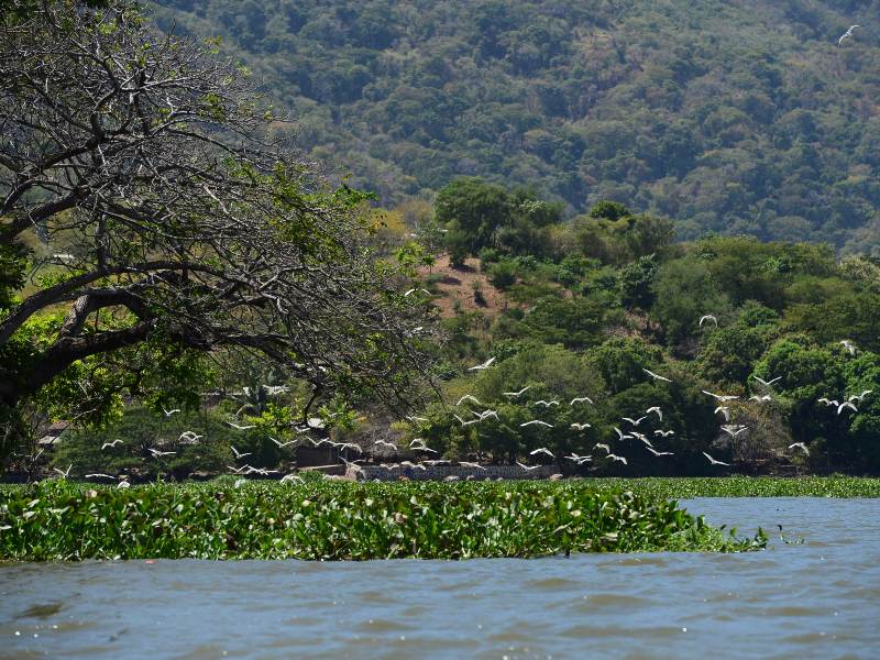 Navegar en calma entre las islas permite conectar con la naturaleza local