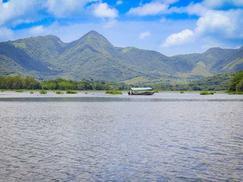 Vegetación ribereña rodea la laguna, ideal para una pausa en el camino