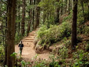 El Cerro Miramundo es uno de los puntos más altos de El Salvador, ideal para el ecoturismo.