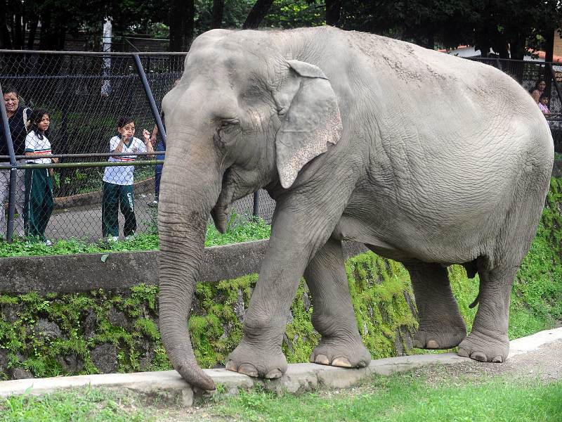 “Manyula, Gustavito y tantas otras historias que aún habitan en el recuerdo de quienes visitaron el parque.”