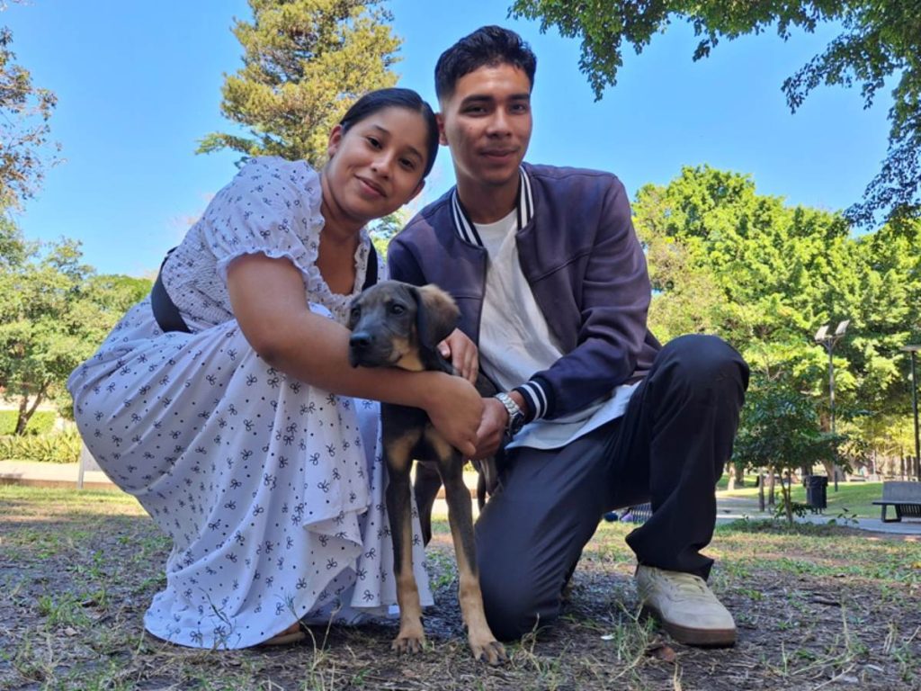 Familias acudieron al parque Cuscatlán para adoptar a uno de los cachorros criollos dados en adopción por la Alcaldía de San Salvador Centro. Fotografía/ elsalvador.com