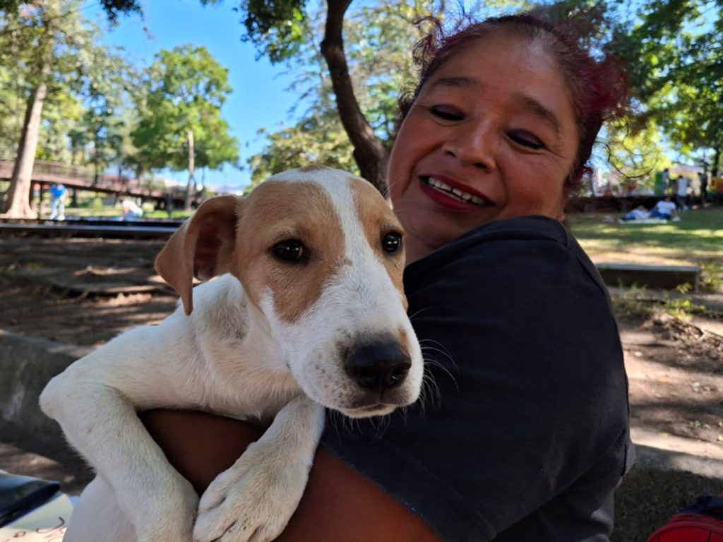 Uno de los siete cachorros es acariciado por su nueva familia tras completar el proceso de adopción. Fotografía/ elsalvador.com
