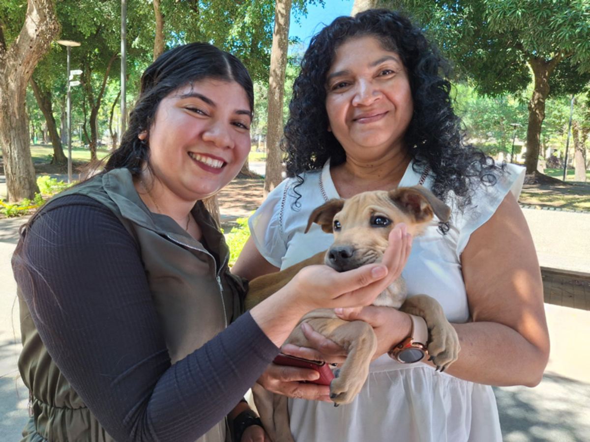 Familias acudieron al parque Cuscatlán para adoptar a uno de los cachorros criollos dados en adopción por la Alcaldía de San Salvador Centro. Fotografía/ elsalvador.com