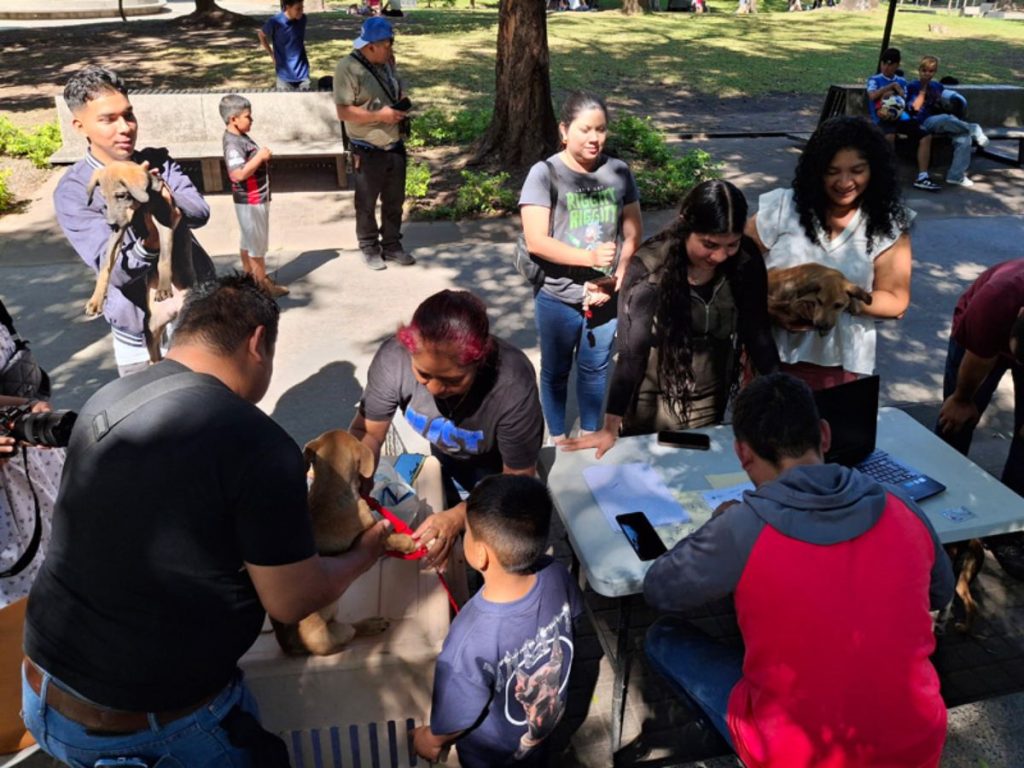 La jornada de adopción busca promover la tenencia responsable y brindar un hogar a perros rescatados de refugios municipales. Fotografía/ elsalvador.com