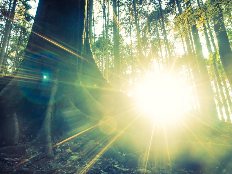 La exposición diaria a luz natural ayuda a estabilizar la glucosa, según investigadores.