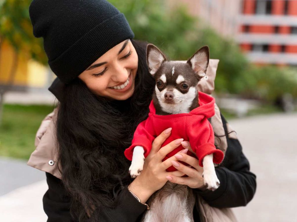 Veterinarios recomiendan limitar la exposición al frío y brindar abrigo adecuado durante paseos en días de bajas temperaturas.