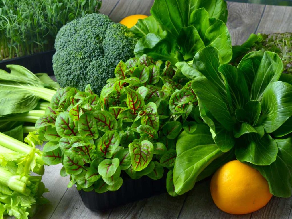 Las verduras de hoja verde son clave en una dieta antienvejecimiento por su alto contenido de nutrientes protectores y compuestos bioactivos.