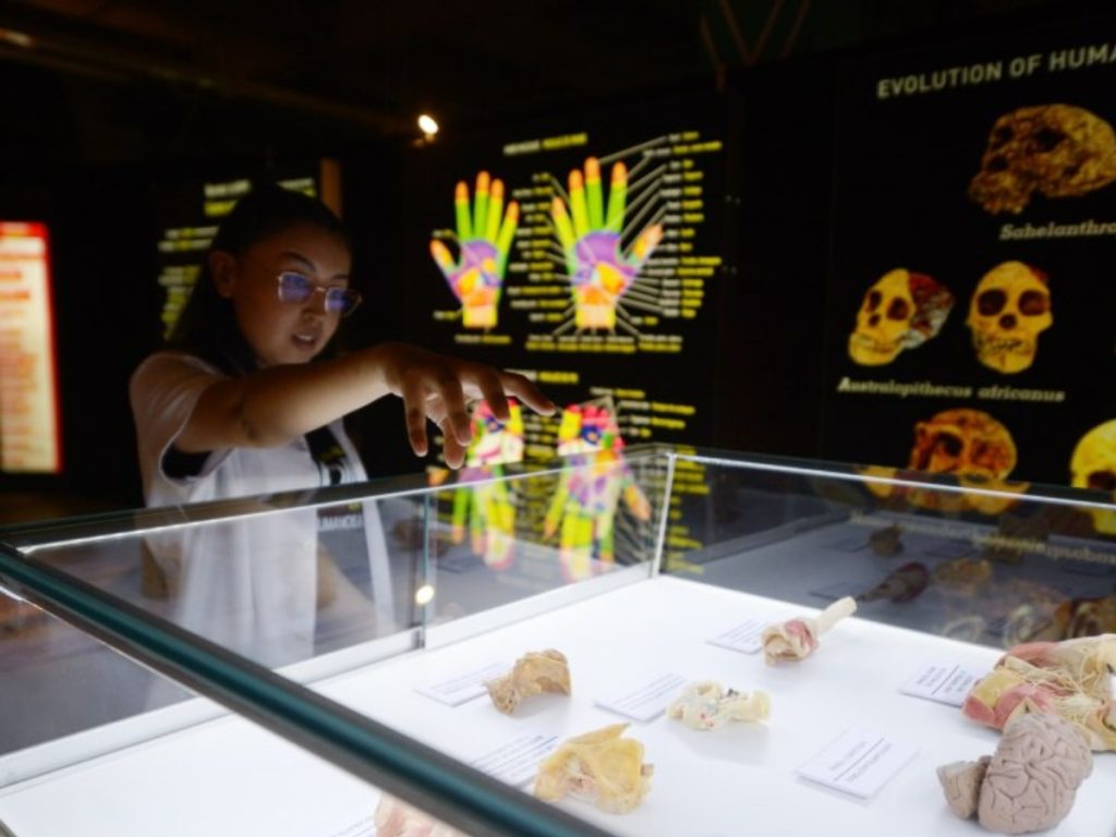 Durante el recorrido guiado, los visitantes observan órganos y estructuras del cuerpo humano distribuidos en salas temáticas con apoyo informativo. Fotografía/ elsalvador.com