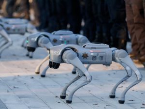 Perros-robot X son fotografiados durante una presentación de la policía mexicana en el Estadio BBVA de Monterrey, México, el 11 de febrero de 2026. Los robots de cuatro patas están diseñados para ingresar a zonas peligrosas y transmitir videos en vivo a las fuerzas de seguridad. Foto AFP