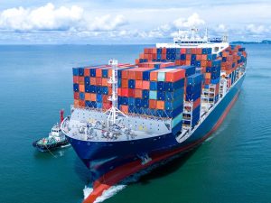 In Motion Design cuenta con más de 20 años de experiencia en el sector mayorista de Estados Unidos y presencia en más de 35,000 puntos de venta.