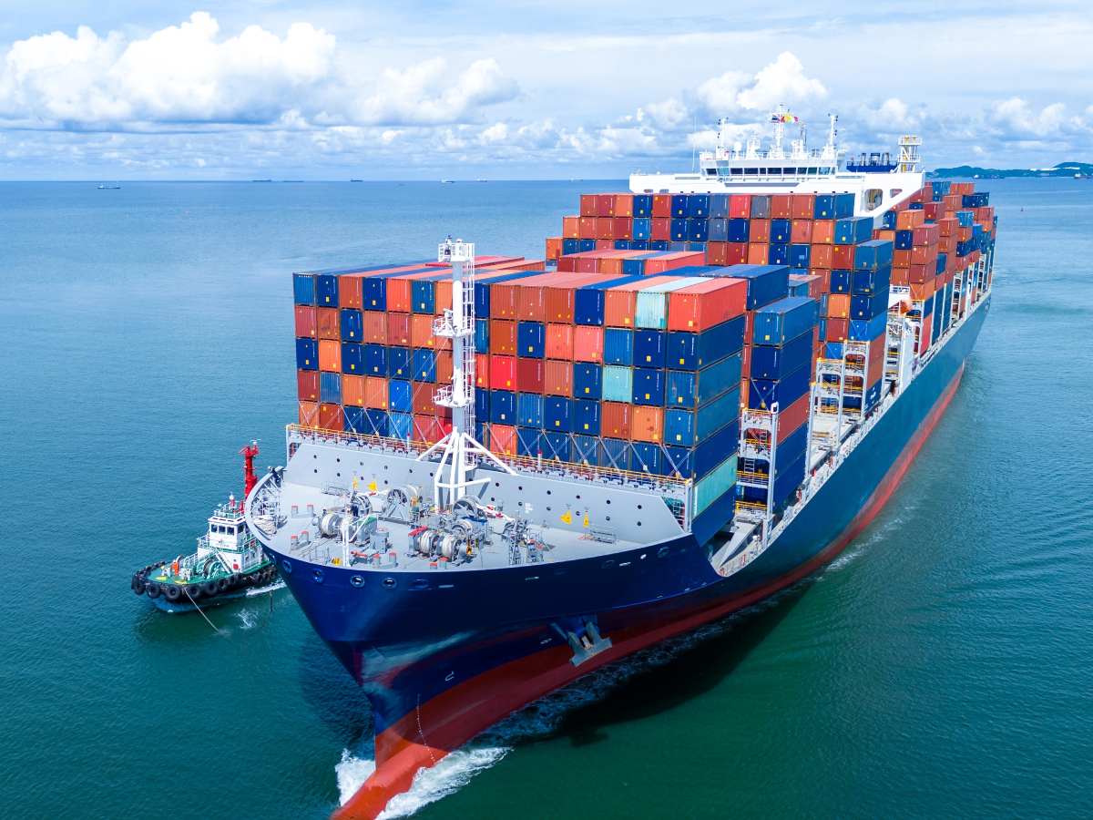 In Motion Design cuenta con más de 20 años de experiencia en el sector mayorista de Estados Unidos y presencia en más de 35,000 puntos de venta.