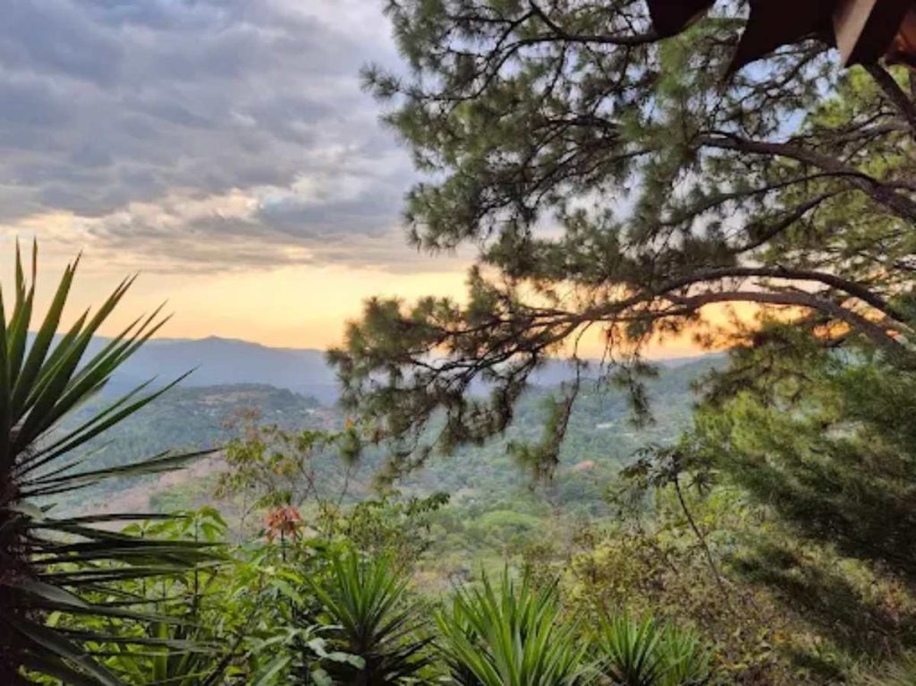 Entre montañas y memoria histórica, la gastronomía de la Ruta de la Paz se convierte en una parada obligatoria para los visitantes.