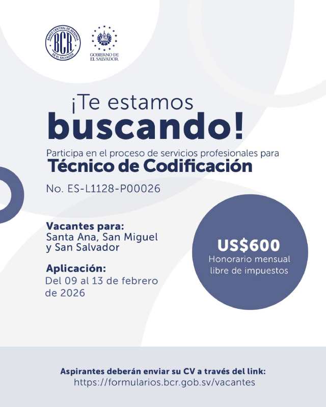 La institución prevé la contratación de 188 personas, entre profesionales y técnicos, bajo modalidad presencial. Los honorarios varían según el perfil y la duración del contrato.