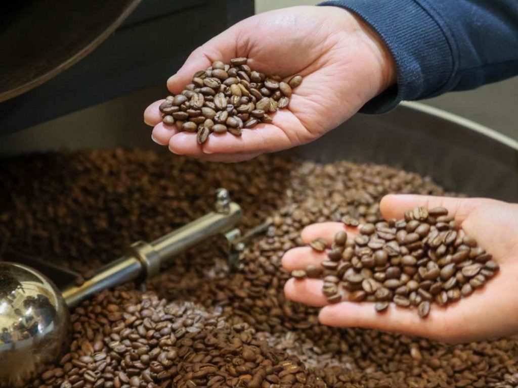 Santa Cristina GmbH opera desde Viena como plataforma de importación y distribución de café de especialidad de origen salvadoreño.