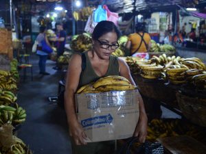 dinero-y-negocios-platanos-el-salvador