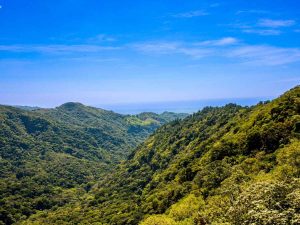 El Imposible está ubicado en el departamento de Ahuachapán, es un Área Natural Protegida.