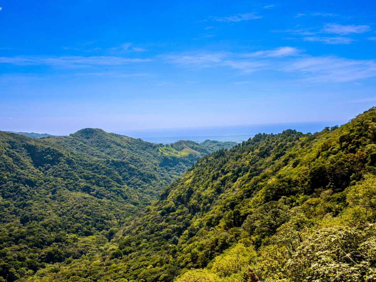 El Imposible está ubicado en el departamento de Ahuachapán, es un Área Natural Protegida.