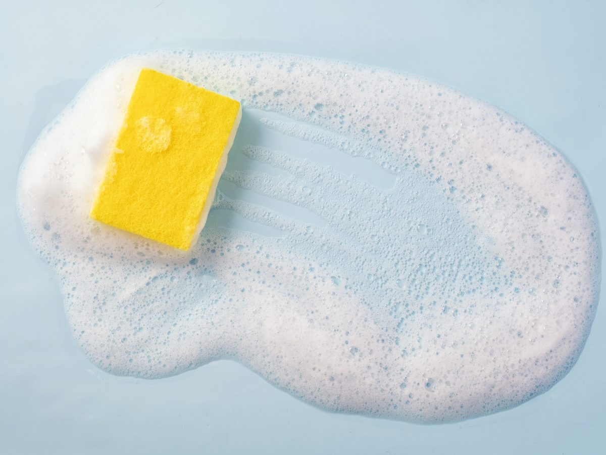 La humedad constante es el entorno ideal para que bacterias como E. coli sobrevivan y se multipliquen en la esponja.