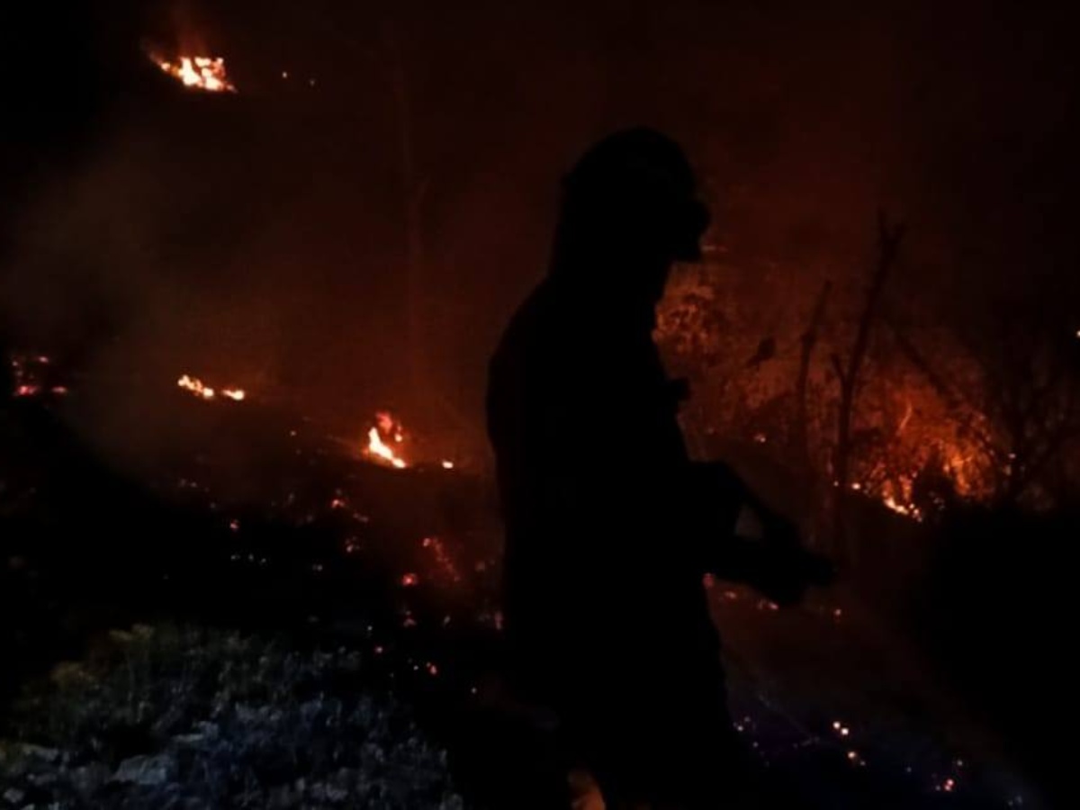 El incendio forestal en el caserío El Junquillo, Coatepeque, consumió más de 60 manzanas de terreno durante la noche del domingo.