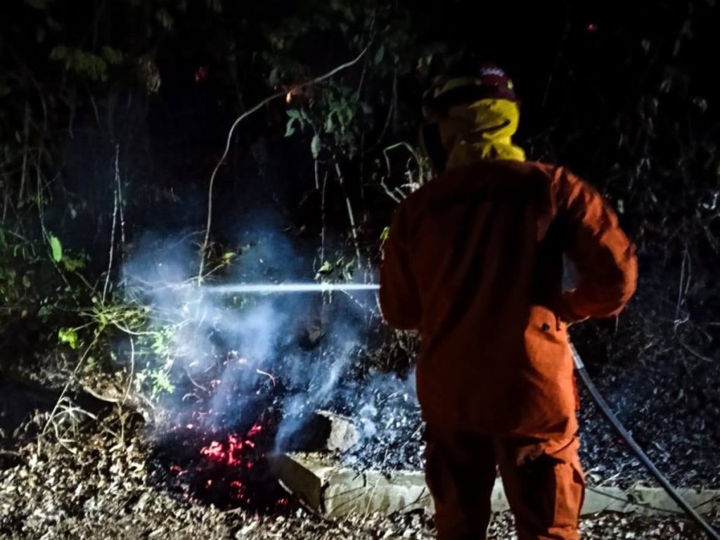 Equipos de Bomberos trabajaron por horas para controlar el fuego y evitar que las llamas alcanzaran viviendas cercanas en Santa Ana.