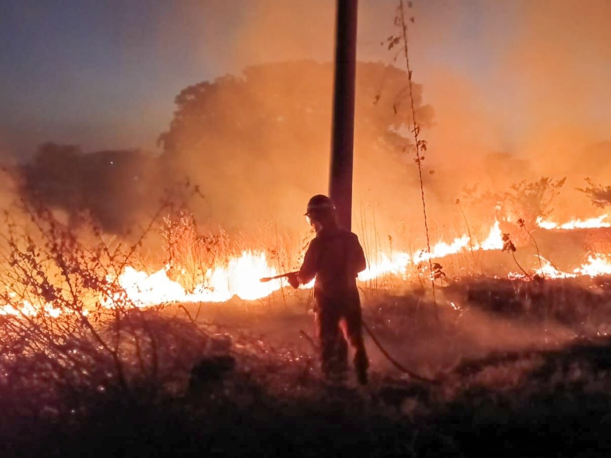 Bomberos y Protección Civil reforzaron operativos tras el aumento de incendios registrados en enero y febrero de 2026 en El Salvador.