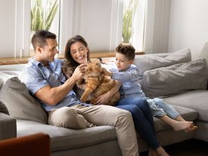 El amor responsable empieza en casa, con tiempo de calidad y cuidados diarios que fortalecen el vínculo con tu mascota.
