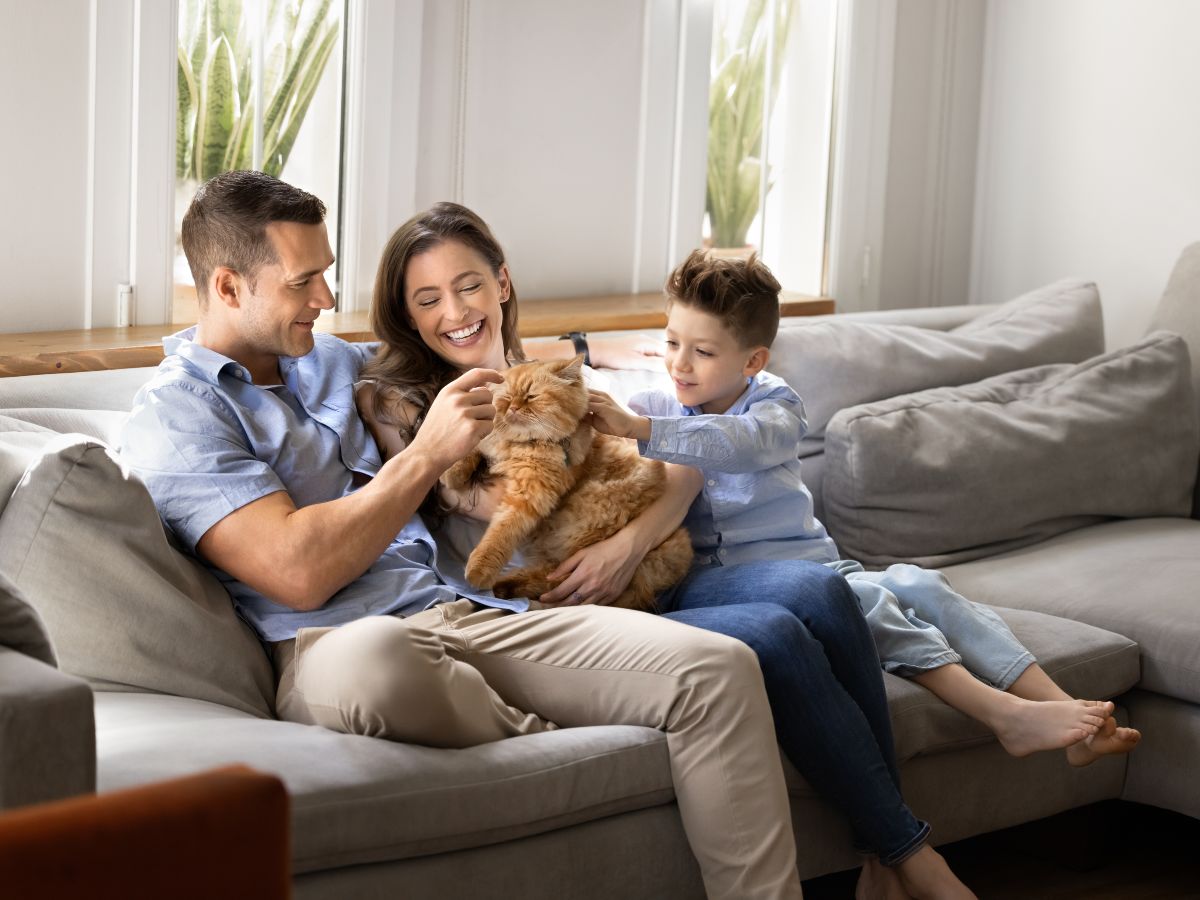 El amor responsable empieza en casa, con tiempo de calidad y cuidados diarios que fortalecen el vínculo con tu mascota.