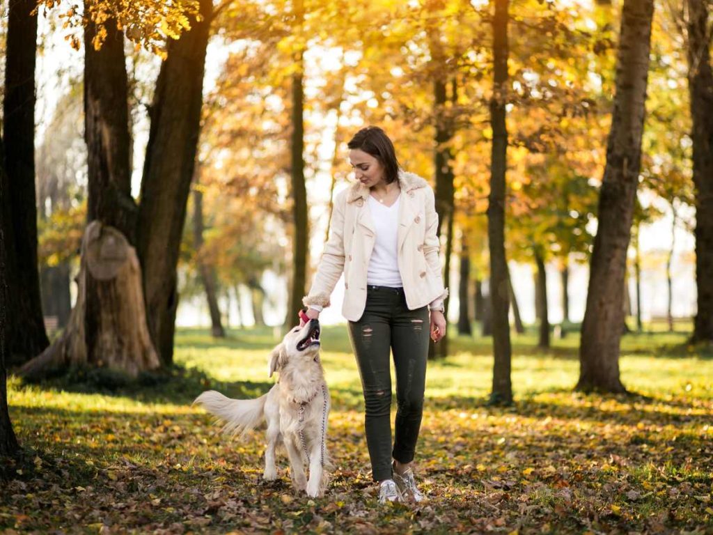 Un paseo al aire libre no solo mejora la salud física de tu perro, también refuerza la conexión emocional entre ambos.