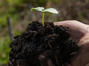 • MERIAN introduce un nuevo modelo de extensión agrícola con enfoque digital en El Salvador.