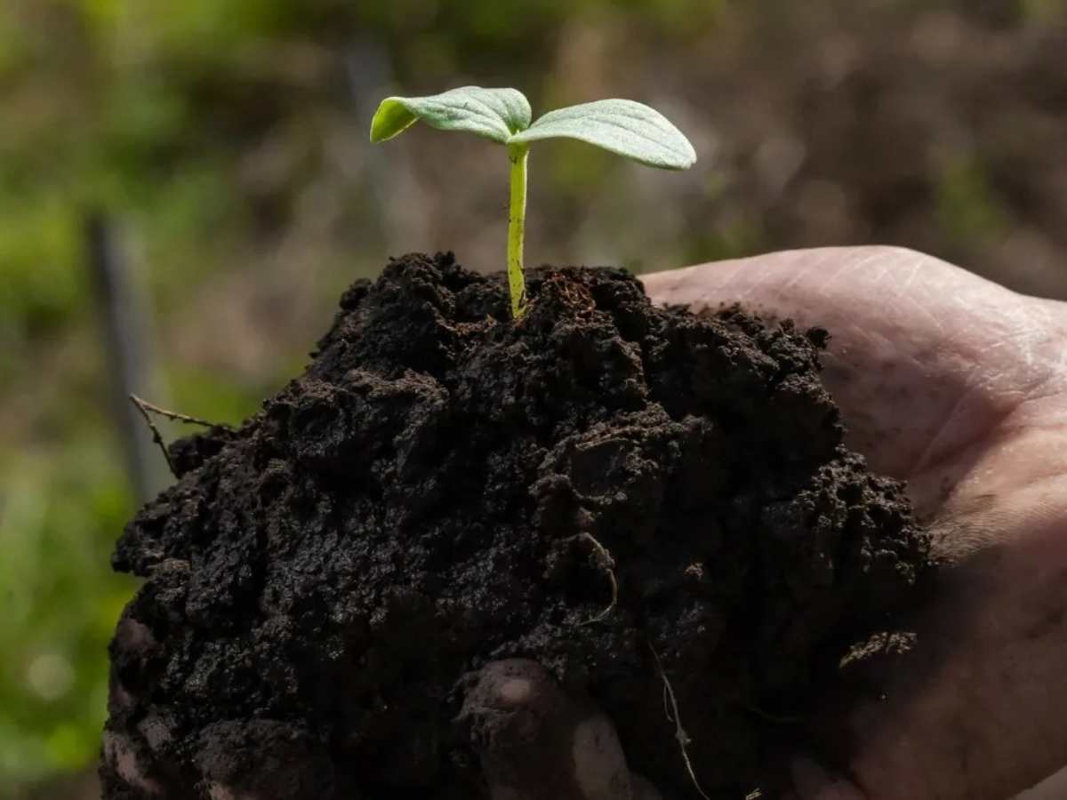 • MERIAN introduce un nuevo modelo de extensión agrícola con enfoque digital en El Salvador.