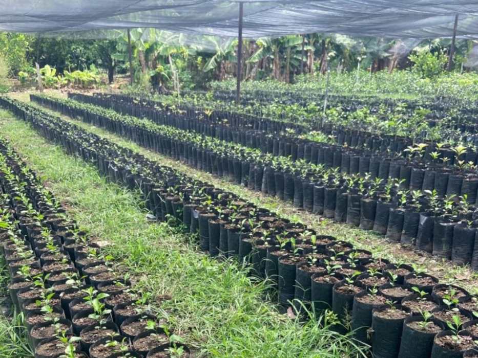 MERIAN, el proyecto que modernizará la asistencia técnica agrícola en El Salvador