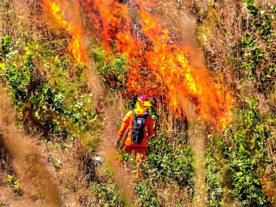 Bomberos reporta más de 1,300 incendios en El Salvador en lo que va de 2026