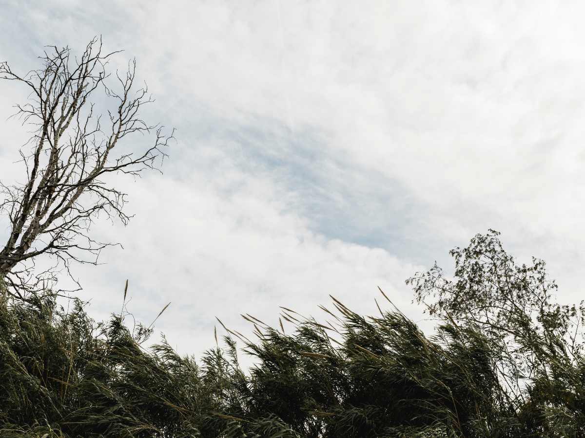 noticias-nacionales-clima-elsalvador01