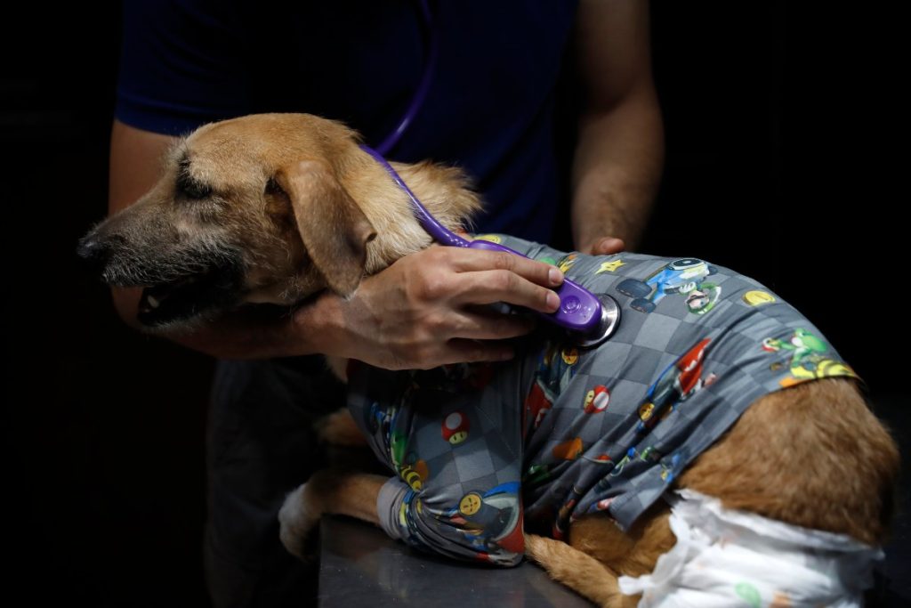 Pepito siendo examinado en San Salvador
