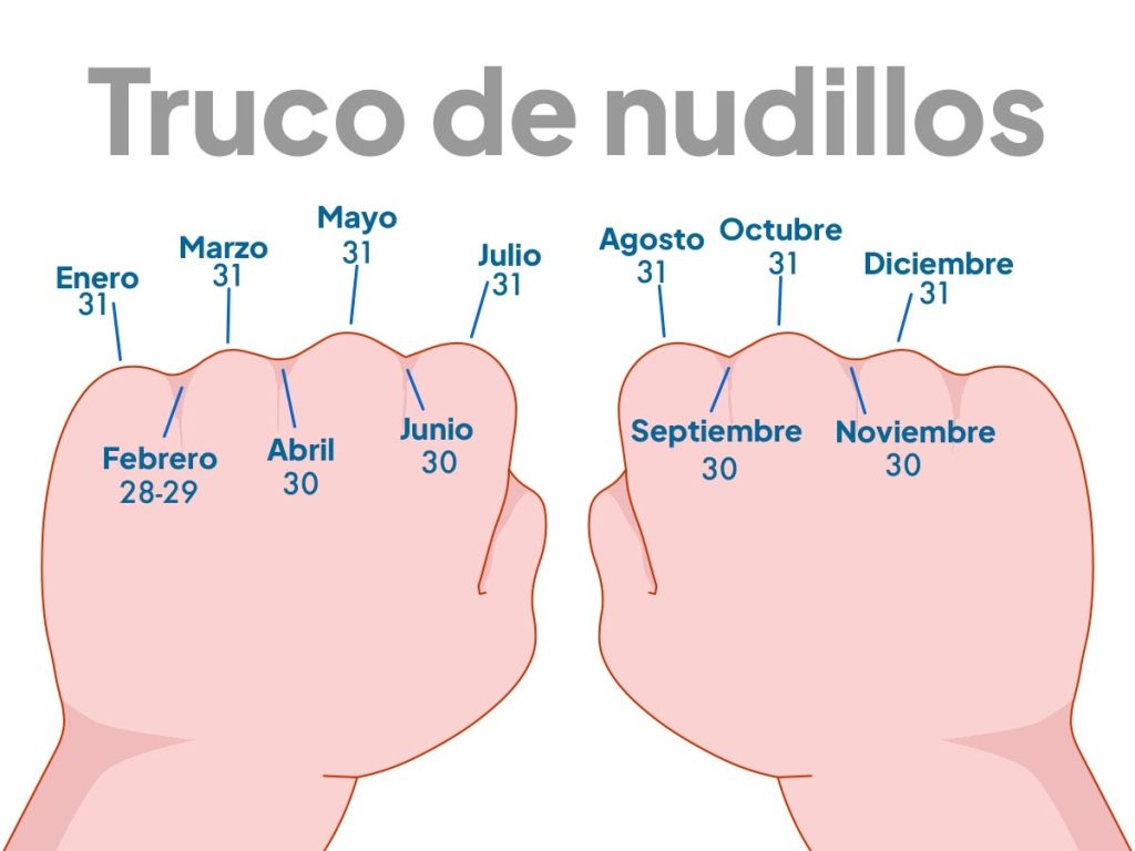 Un truco sencillo para no olvidar cuántos días tiene cada mes: historia, ciencia y memoria en la palma de tu mano.