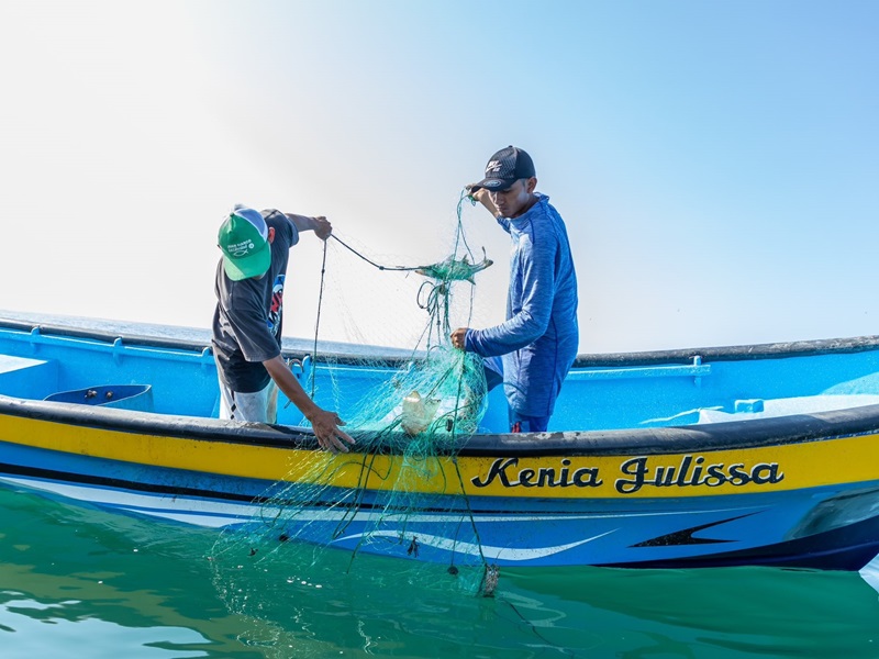 La nueva Autoridad Salvadoreña de Economía Azul asumirá la rectoría del sector pesquero y acuícola, antes a cargo de CENDEPESCA.