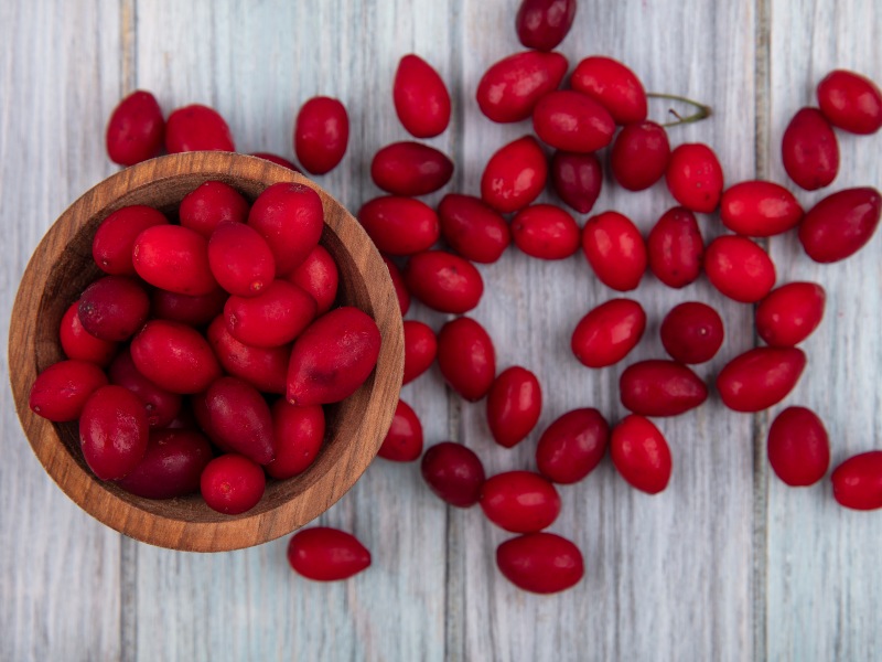 La Calle Gerardo Barrios será el escenario del Festival del Jocote Barón Rojo y la Guayaba este 21 de febrero, de 2:00 p.m. a 6:00 p.m.