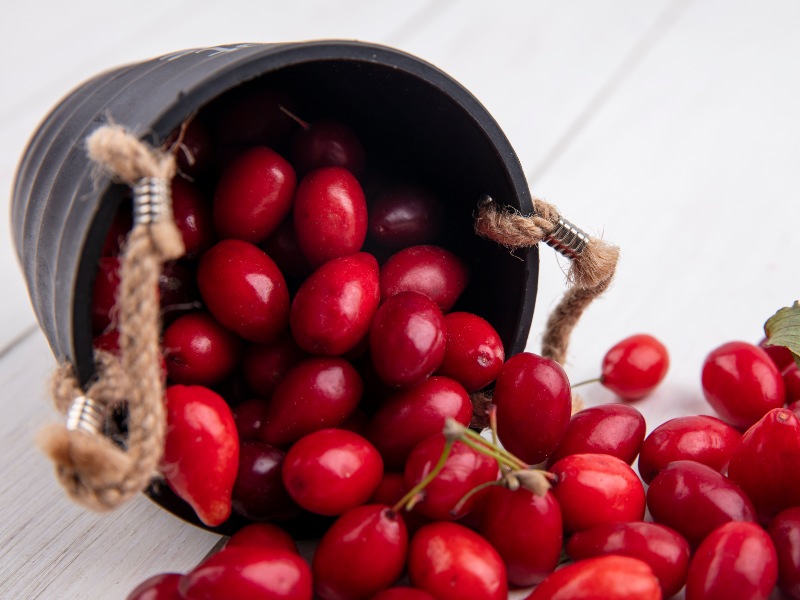 El Mercado Central será sede del Festival del Jocote Barón Rojo y la Guayaba este 21 de febrero.