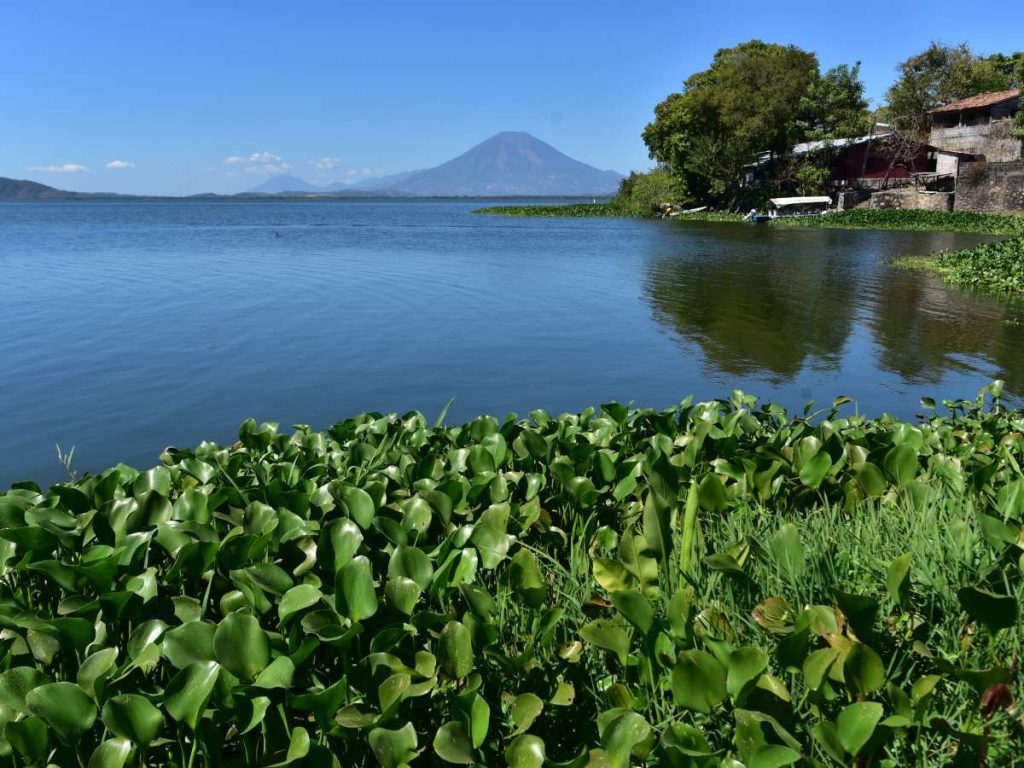 Naturaleza, lanchas y gastronomía se fusionan en la Laguna de Olomega. Foto Miguel Lemus
